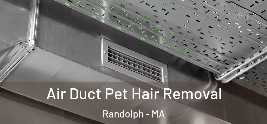  Air Duct Pet Hair Removal Randolph - MA
