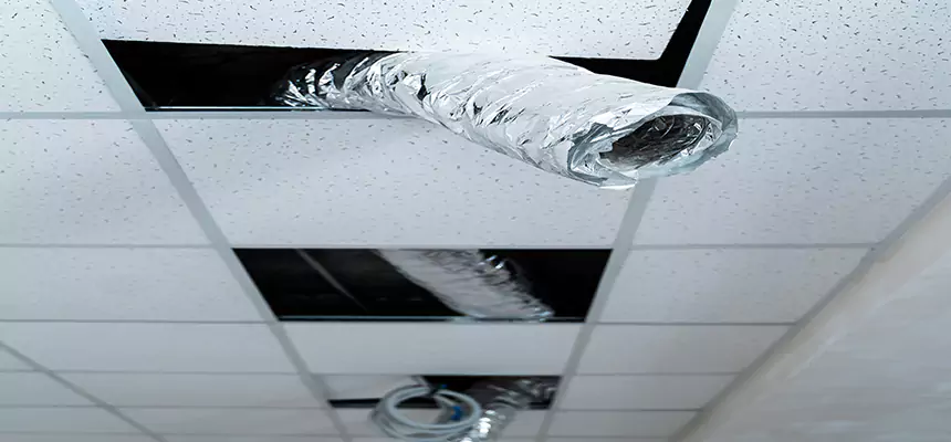 Affordable HVAC Sanitizing After Pest Removal in Randolph