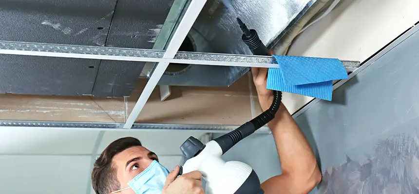 Our Air Duct Rodent Removal Services in Randolph, MA