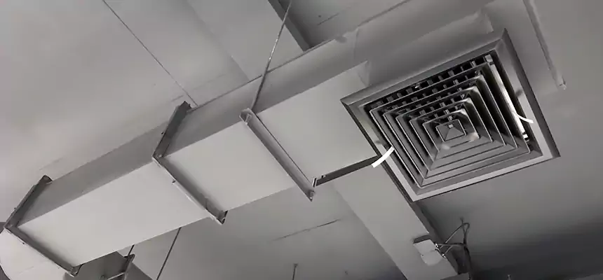 Our Pest Removal From Ducts Services in Randolph, MA