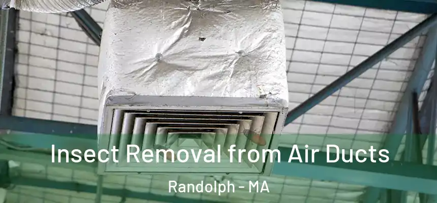  Insect Removal from Air Ducts Randolph - MA