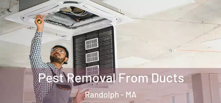  Pest Removal From Ducts Randolph - MA
