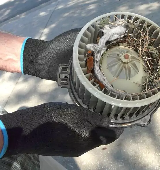 About Air Duct Rat Removal in Randolph, MA