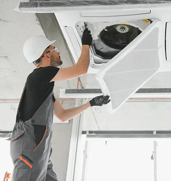 About Air Duct Rodent Removal in Randolph, MA