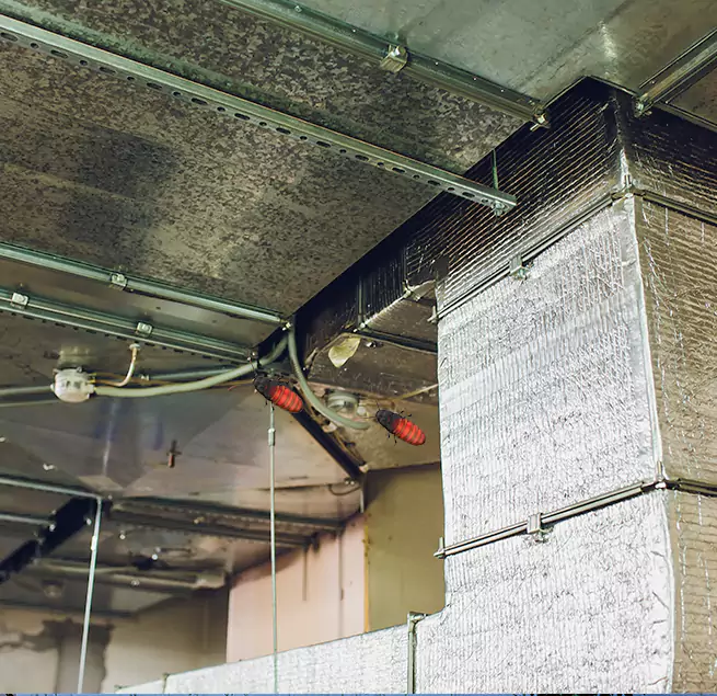 Why Homeowners & Businesses Trust Us in Randolph, MA?