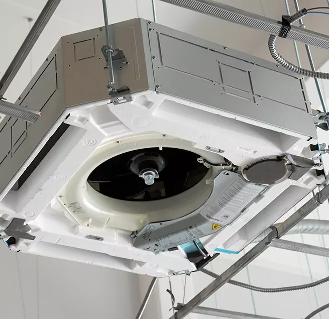 Why Homeowners & Businesses Trust Us in Randolph, MA?