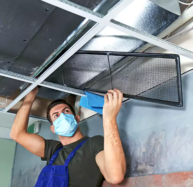 Why Homeowners Businesses Trust Us in Randolph, MA